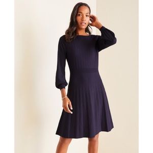 Ann Taylor Petite Mixed Media Flare Sweater Dress XXSP